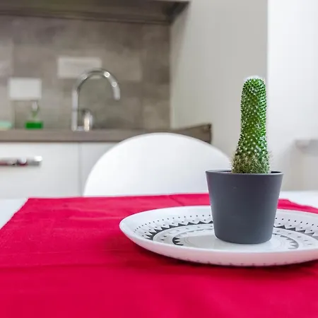 Nova Apartamento Bolonia